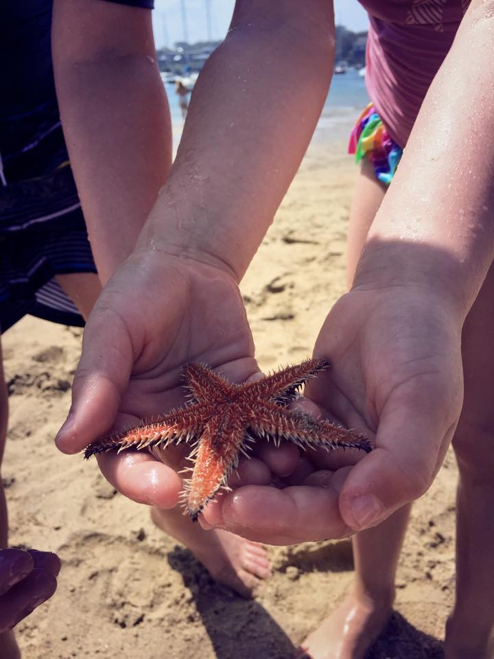 Gunnamatta Park : Beach Fun & A Run In With a Starfish