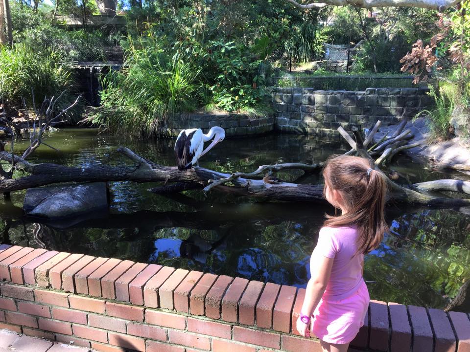 Taronga Zoo : Animal Encounters with Family & Friends