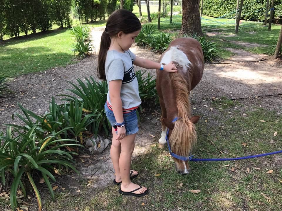 Amazement Farm and Fun Park : A Day Trip to Wyong