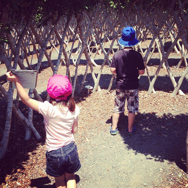 Get Lost in a Maze: Amaze ‘n’ Place in Alstonville NSW