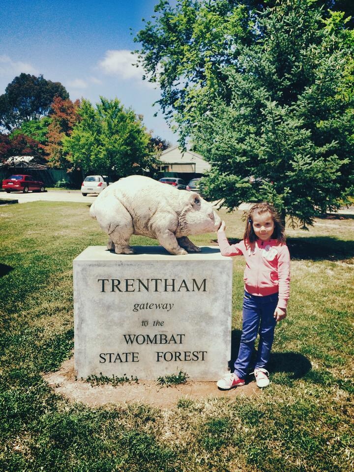 A Lazy Weekend in Trentham : In the Land of the Wombat