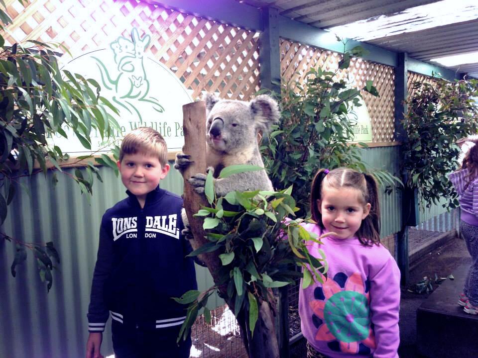 Featherdale Wildlife Park : Hands On Learning With Australian Wildlife