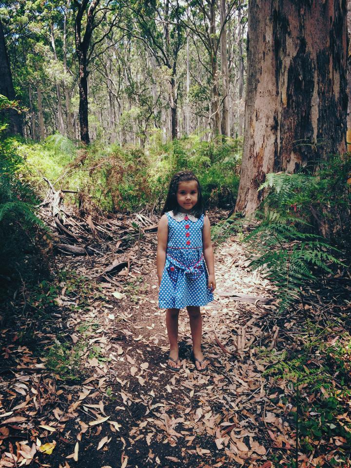 Boranup Forest - A Trip into the Woods of Margaret River