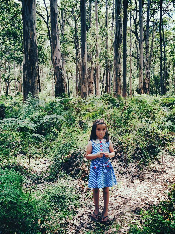 Boranup Forest - A Trip into the Woods of Margaret River