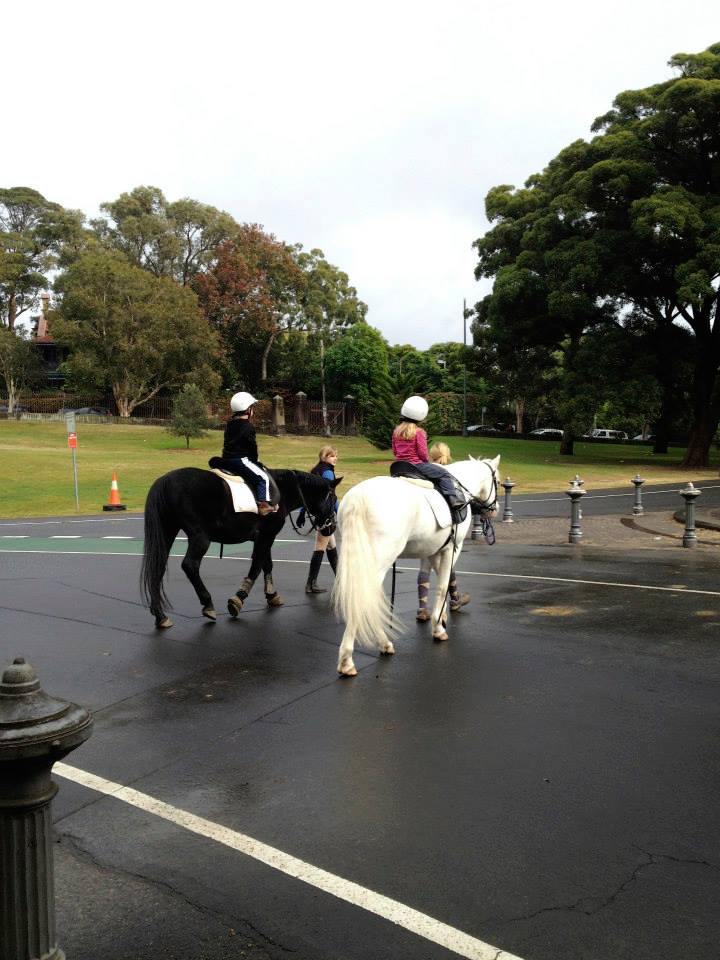 Papillon Riding Stables : Horse Riding With Kids In Sydney's Centennial Park