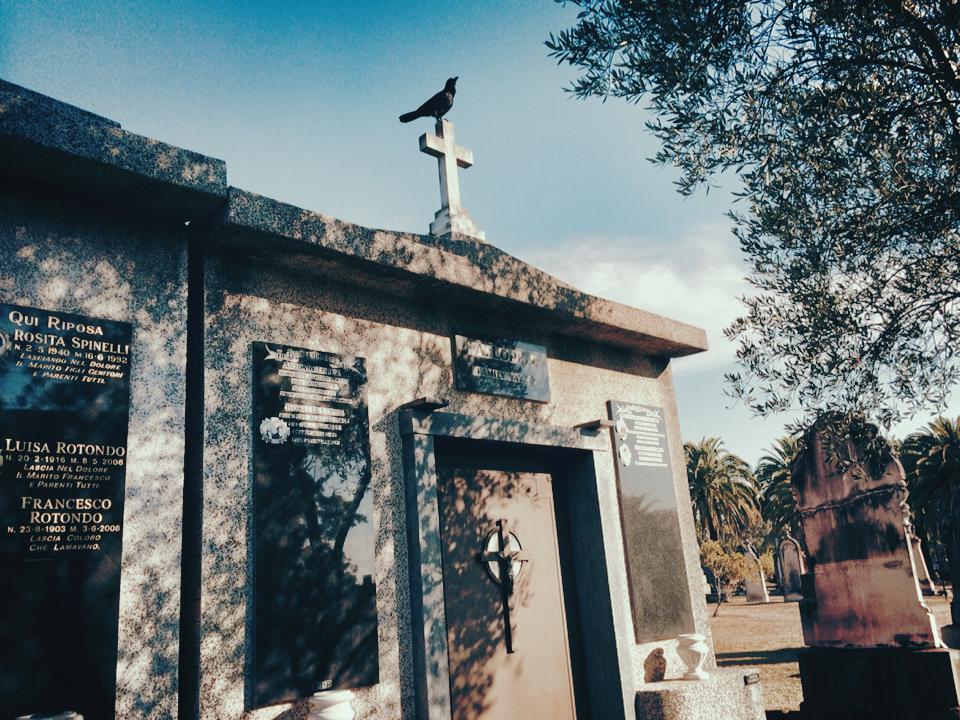 Rookwood Cemetery : Exploring the Southern Hemisphere's Largest Necropolis