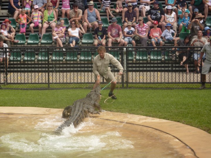 Australia Zoo : Queensland Adventures + A Chance Meeting With Bindi & Robert Irwin