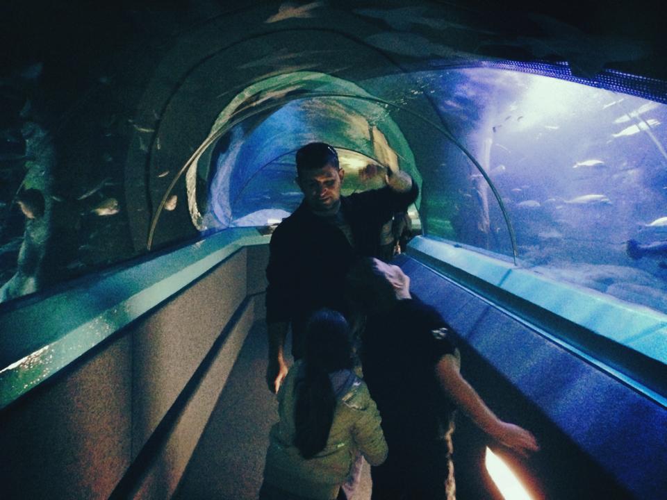 Close Encounters : A Trip to Manly SEA LIFE Sanctuary