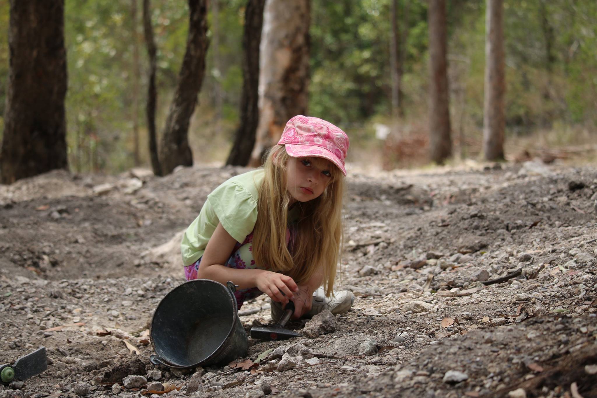 Thunderbird Park : Dinosaur Fossicking With A Budding Palaeontologist