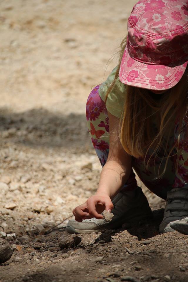 Thunderbird Park : Dinosaur Fossicking With A Budding Palaeontologist