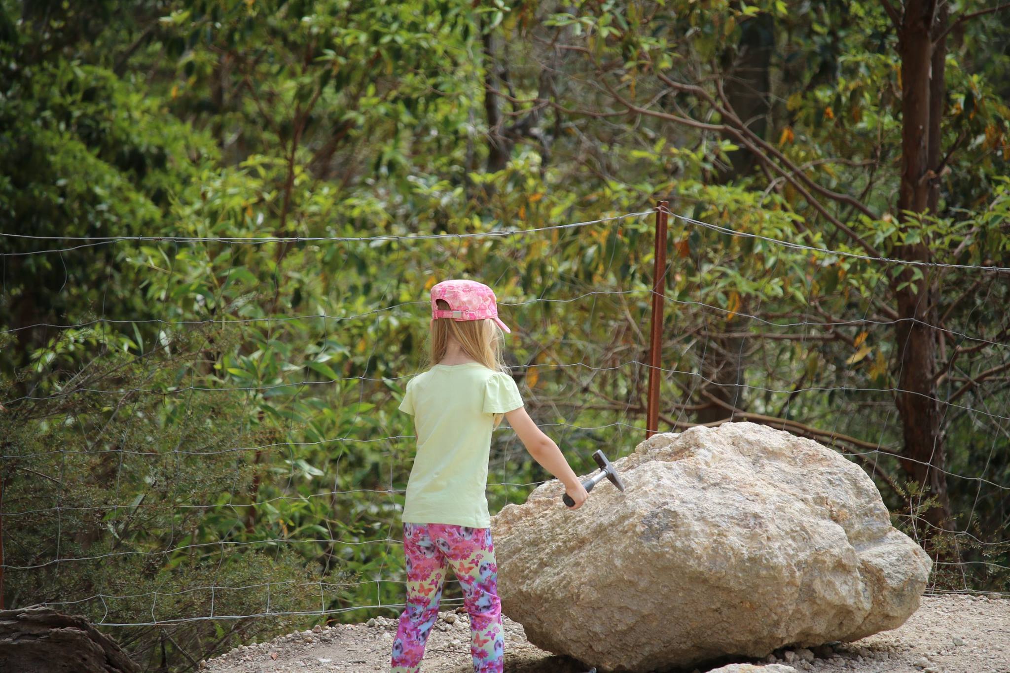 Thunderbird Park : Dinosaur Fossicking With A Budding Palaeontologist