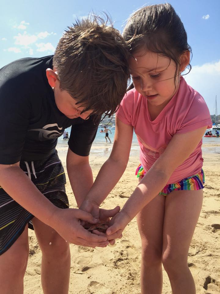 Gunnamatta Park : Beach Fun & A Run In With a Starfish