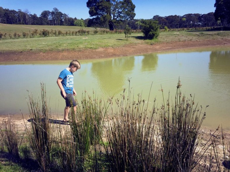 Yabby Fishing : A Short Tutorial On How To Catch a Big One - The Kid ...