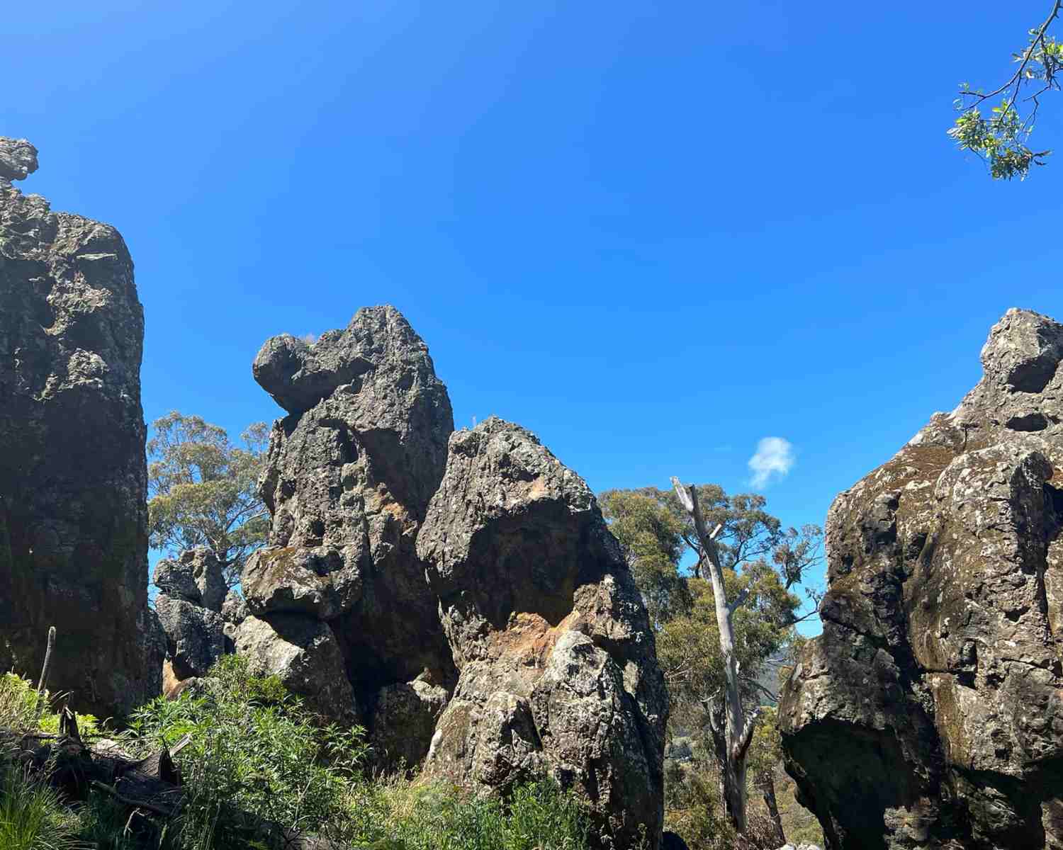 Explore Hanging Rock with kids