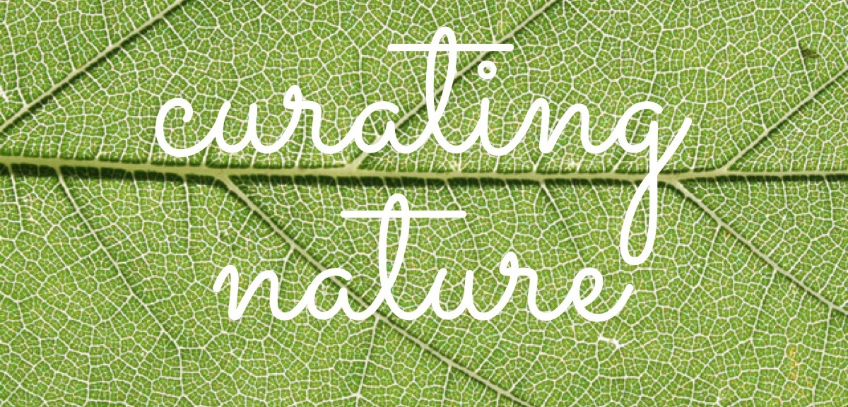 Curating Nature: Investigating Our Environment Through Collecting