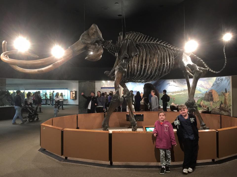 A Sticky Trek Back in Time : A Visit to the La Brea Tar Pits and Page Museum