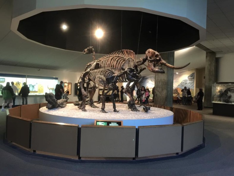 la brea dinosaur museum