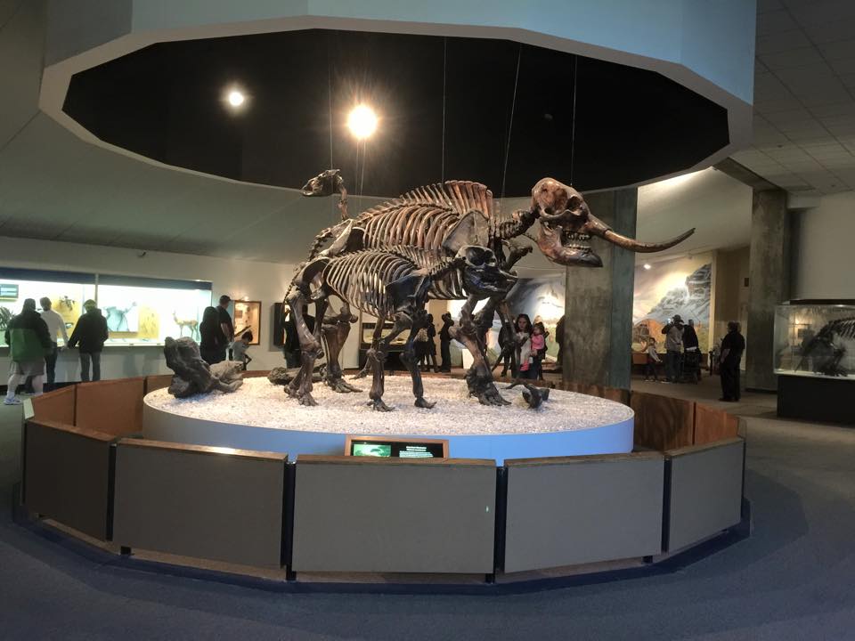 A Sticky Trek Back in Time : A Visit to the La Brea Tar Pits and Page Museum