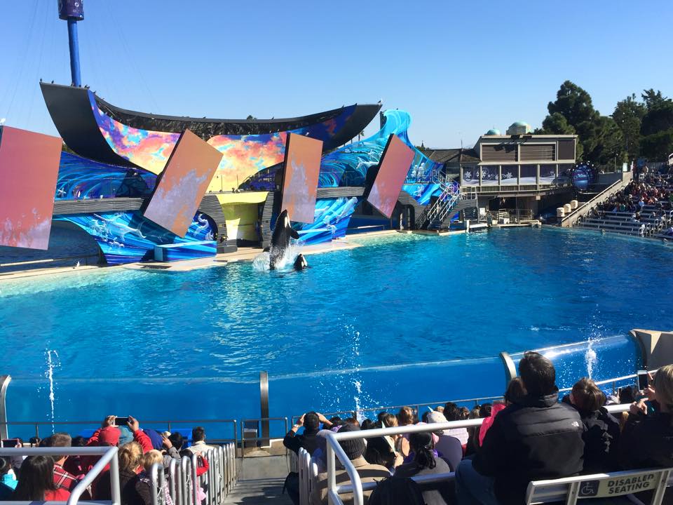 Sea World San Diego - A Life Lesson for Kids
