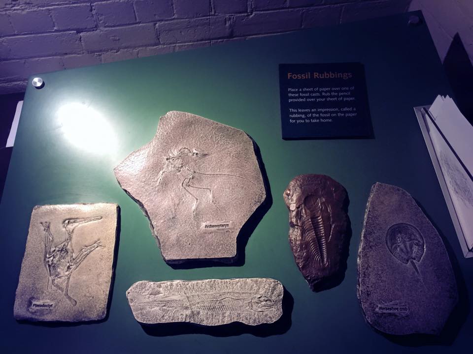 Australian Fossil and Mineral Museum - A Bathurst Adventure with Kids