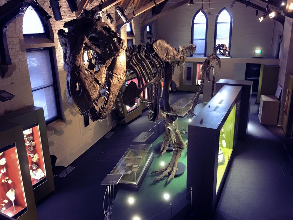 Beundringsværdig skildpadde Råd Australian Fossil and Mineral Museum - A Bathurst Adventure with Kids