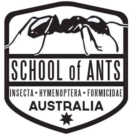 Citizen Science : School of Ants