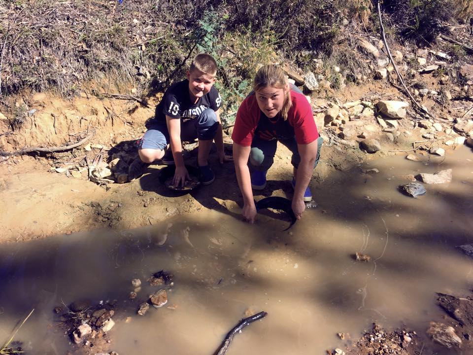 Gold Panning : A Trip to Hill End for a Little Prospecting