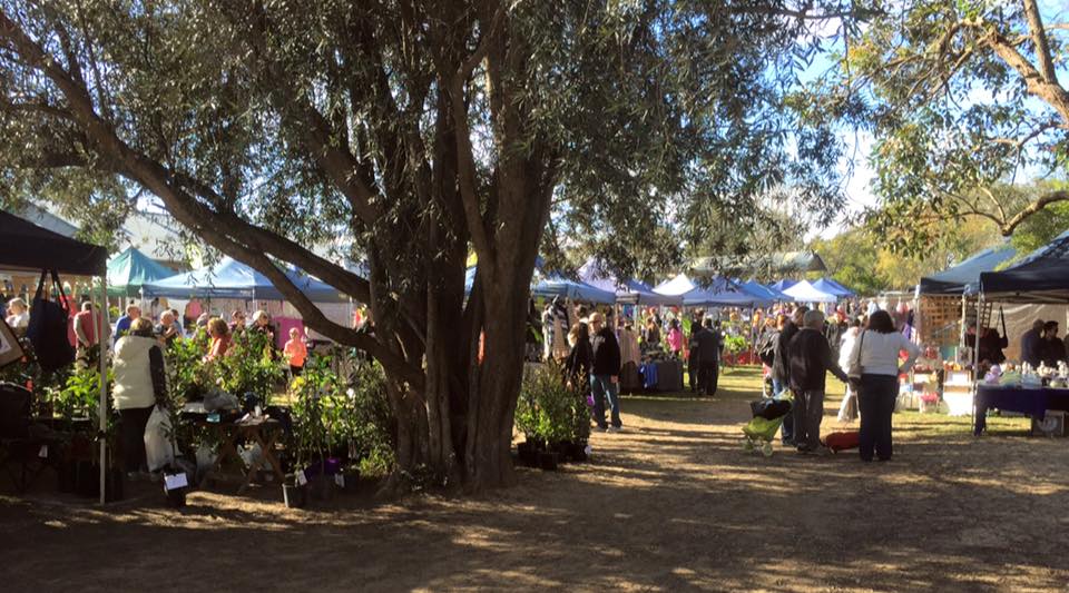 Cobbitty Village Markets : A Country Market Day Experience