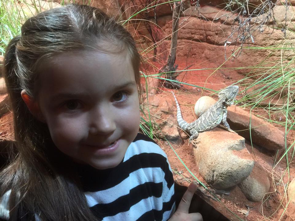 WILD LIFE Sydney Zoo : Koalas and Devils and Crocs - Oh My!