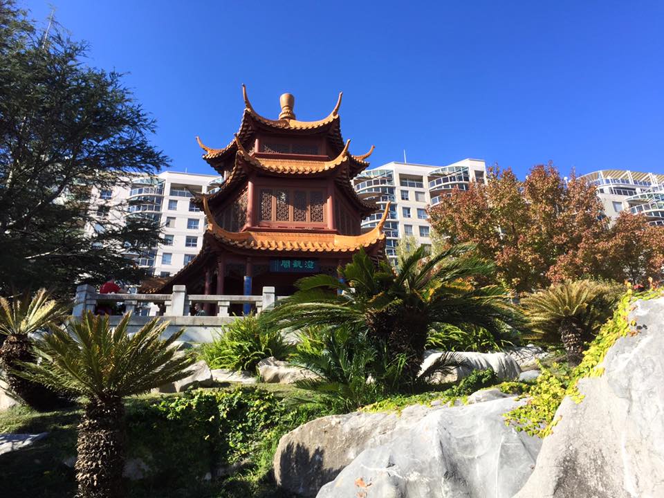 Chinese Friendship Gardens : Sydney's Hidden Garden