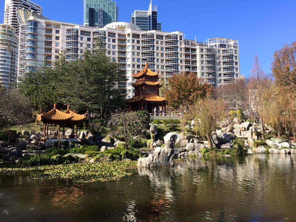 Chinese Friendship Gardens : Sydney's Hidden Garden