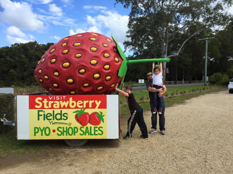 Strawberry Fields Farm : Pick Your Own Delights on the Sunshine Coast