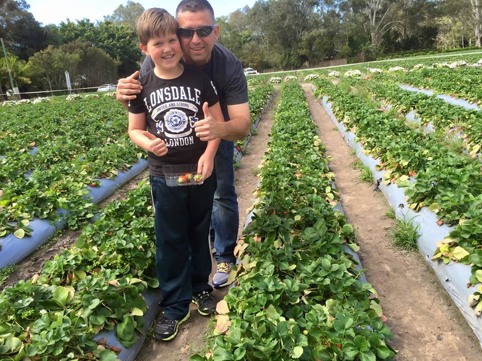 Strawberry Fields Farm : Pick Your Own Delights on the Sunshine Coast