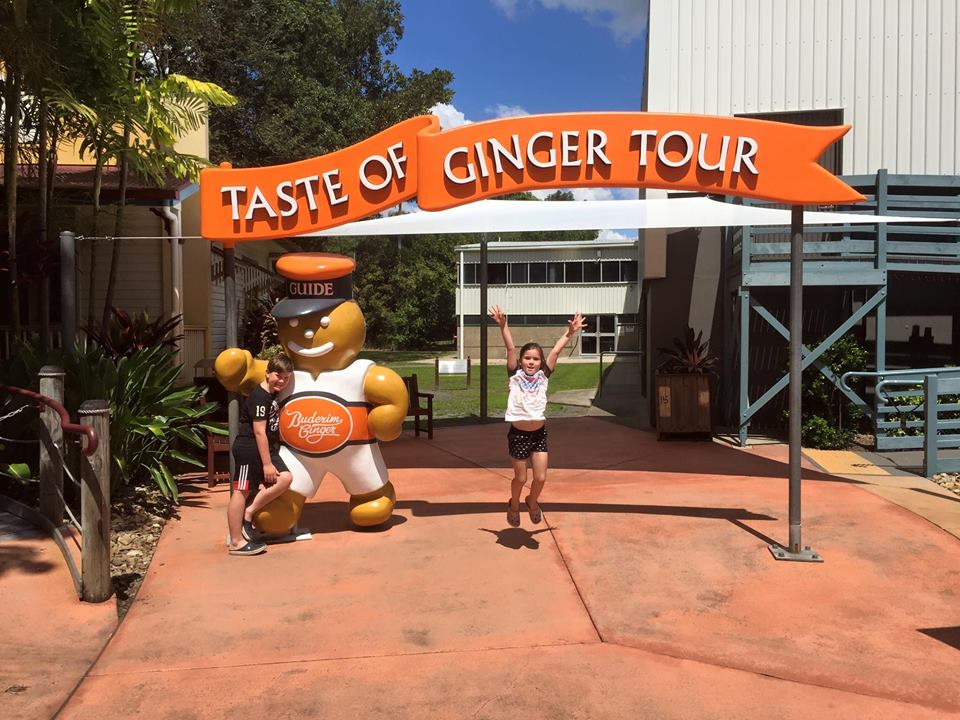 The Ginger Factory : Taste Testing and Bees on the Sunshine Coast