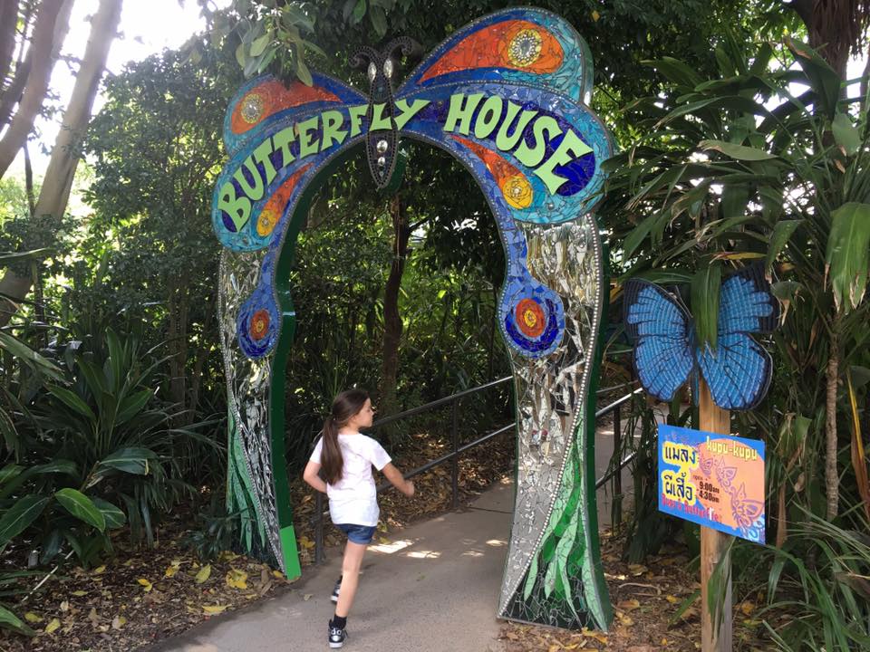 Royal Melbourne Zoo : Close Encounters of the Animal Kind