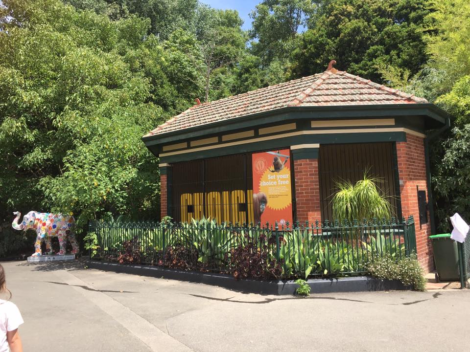 Royal Melbourne Zoo : Close Encounters of the Animal Kind