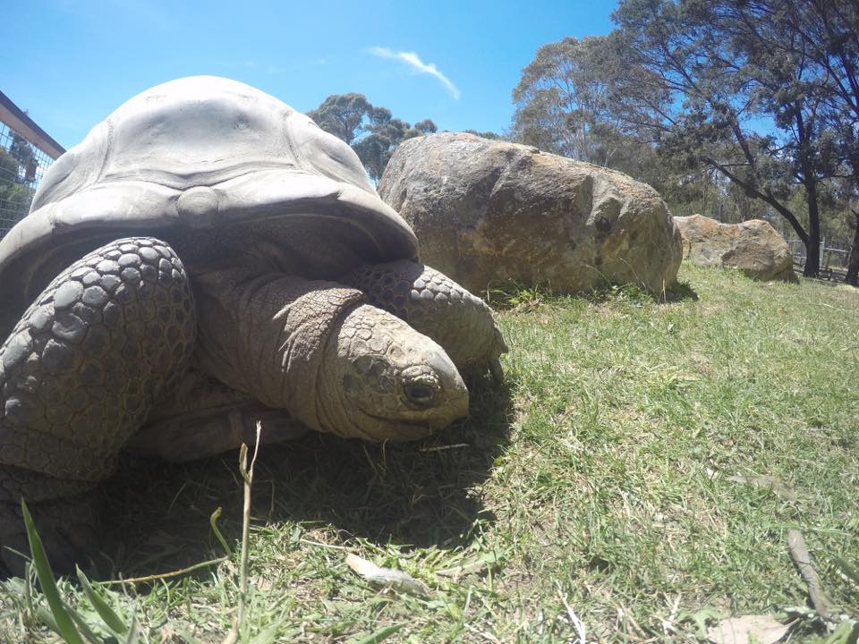 Ballarat Wildlife Park : Up Close With Australian Animals