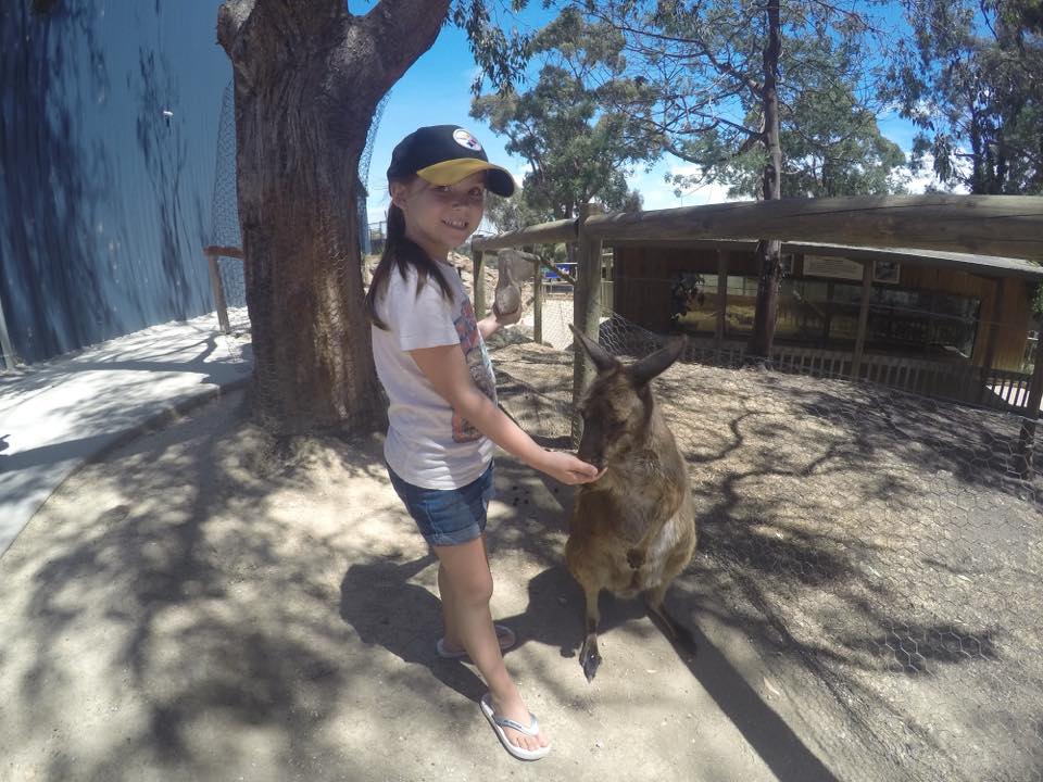 Ballarat Wildlife Park : Up Close With Australian Animals