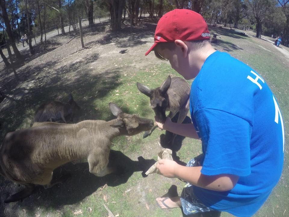 Ballarat Wildlife Park : Up Close With Australian Animals