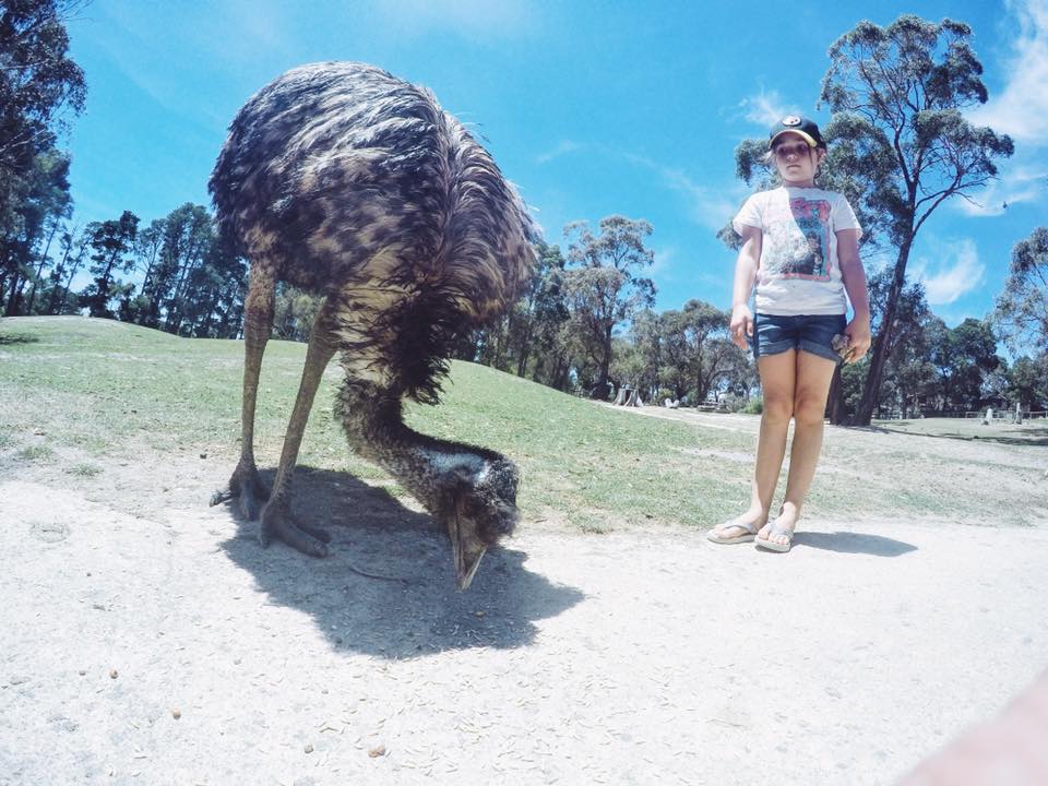 Ballarat Wildlife Park : Up Close With Australian Animals