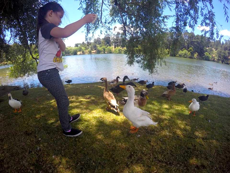 Daylesford Lake : A Family Fun Weekend Adventure