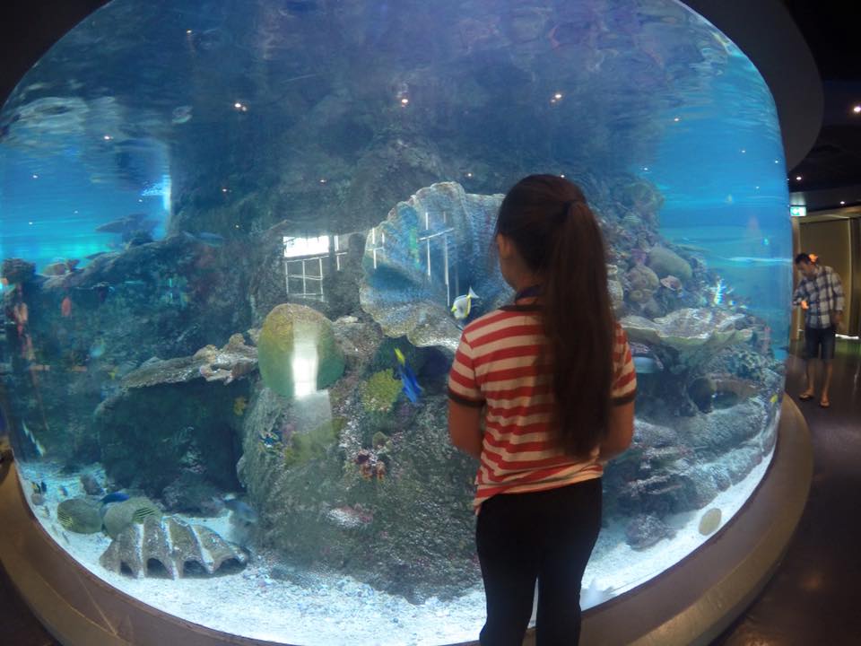 Sea Life Melbourne Aquarium : A Snap Shot of Victoria's Waterlife