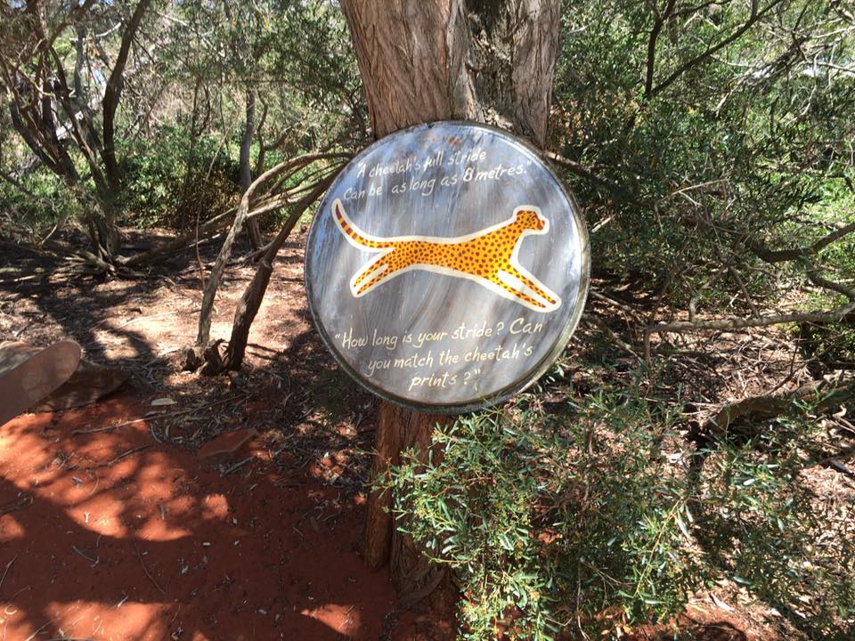 Werribee Open Range Zoo : An African Safari Adventure in Australia