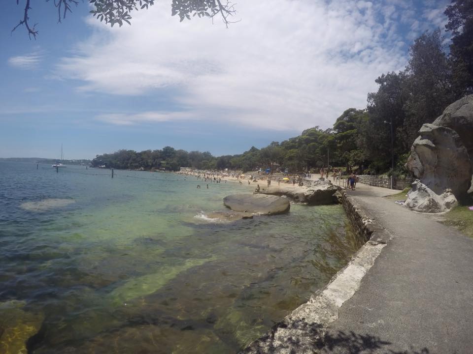 Shark Beach - Nielsen Park : A Family Friendly Sydney Beach