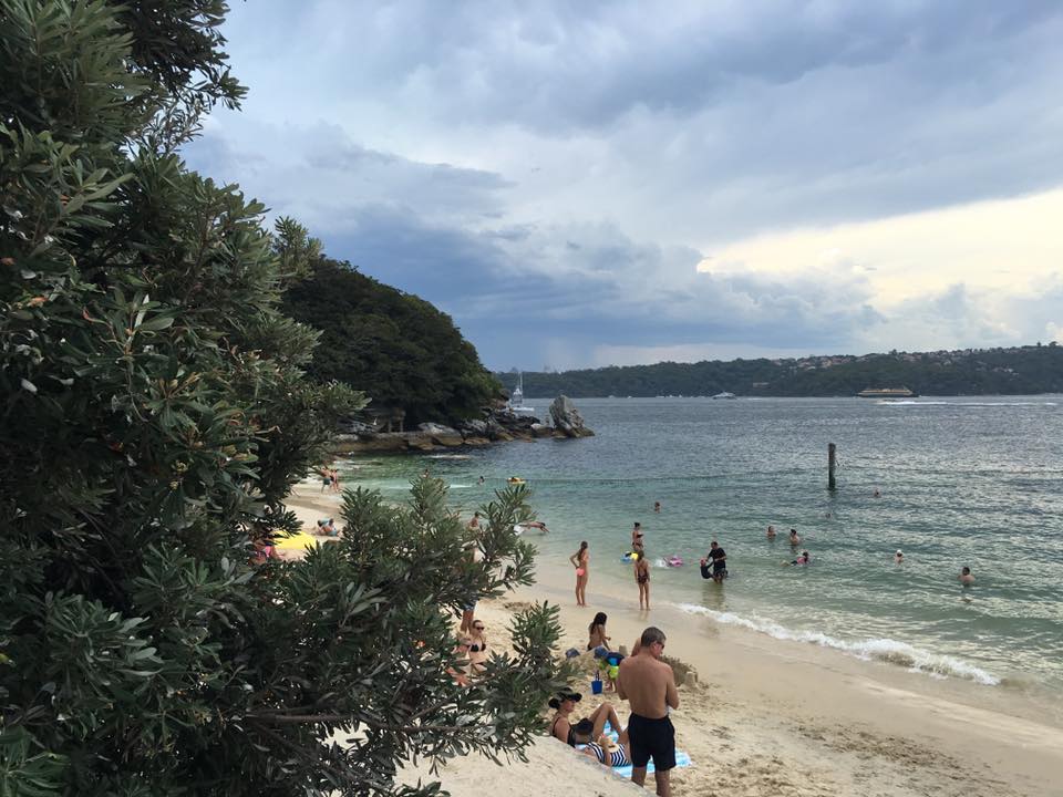 Shark Beach - Nielsen Park : A Family Friendly Sydney Beach