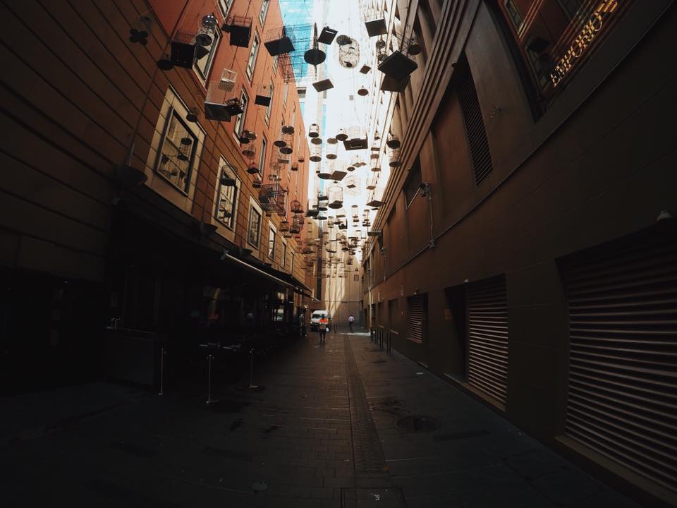 Forgotten Songs : The Bird Cages of Angel Place