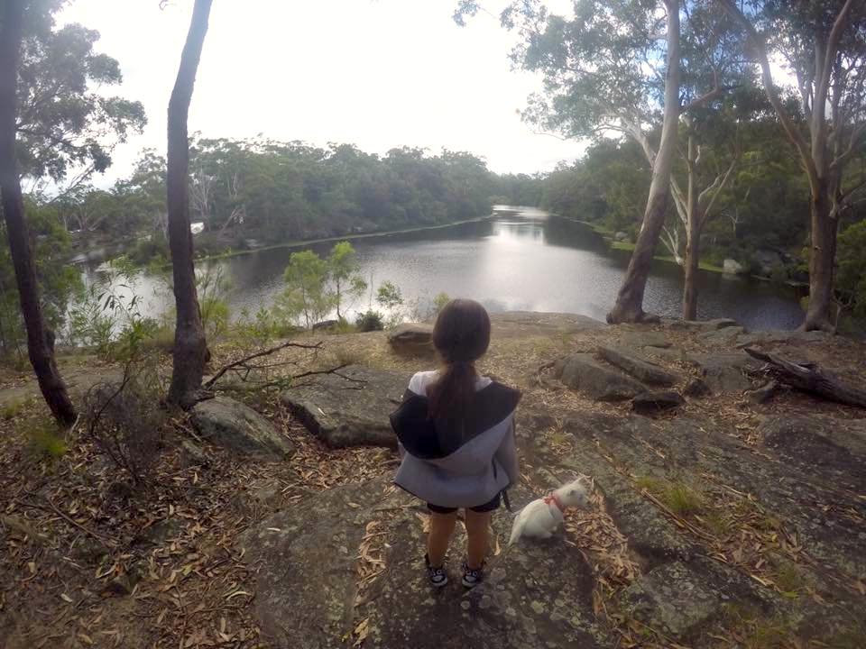 Lake Parramatta : An Oasis Sydney's Second CBD