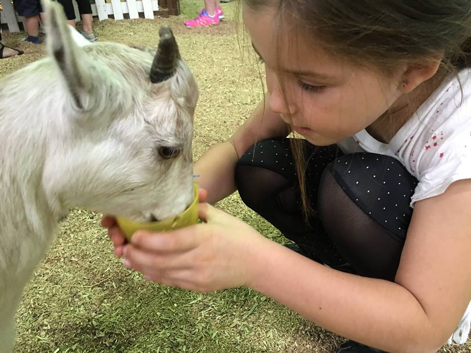 The Sydney Royal Easter Show - A Bloody Good Time With Kids
