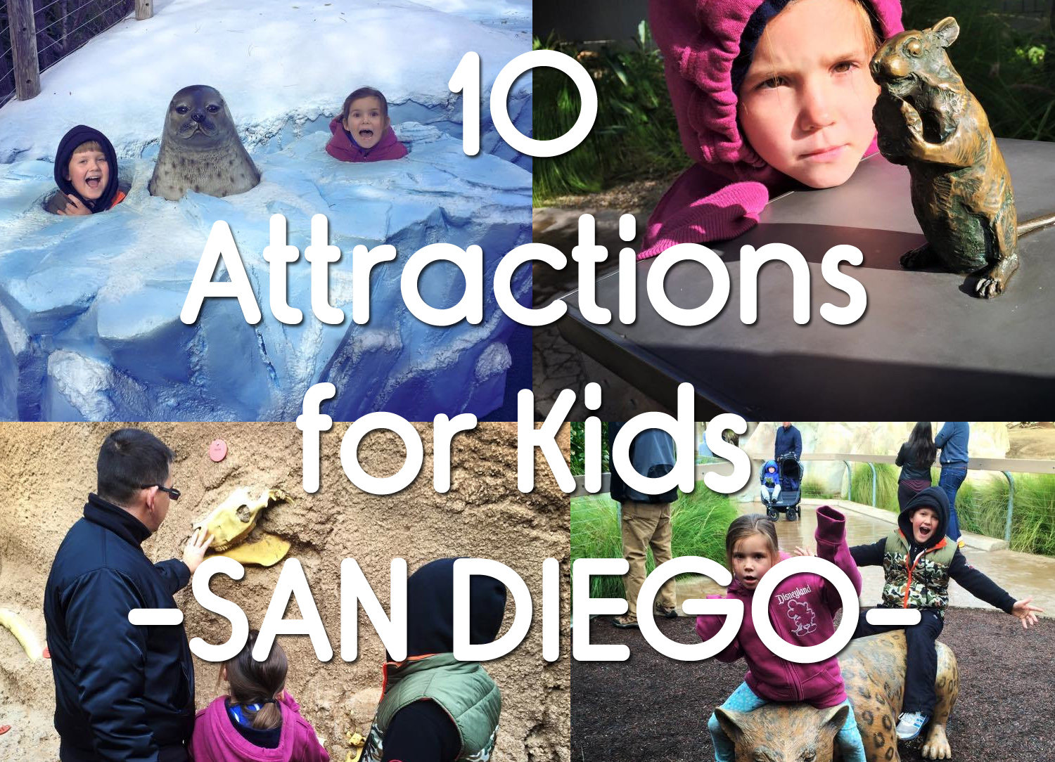 10 Things To See in San Diego with Kids : Adventures for the Whole Family