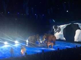 Ice Age LIVE! A Mammoth Adventure : Prehistory Brought to Life - The ...